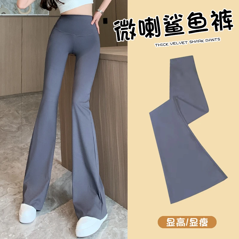 灰色微喇鲨鱼裤女外穿高腰提臀薄款显瘦窄版春秋阔腿打底马蹄裤子