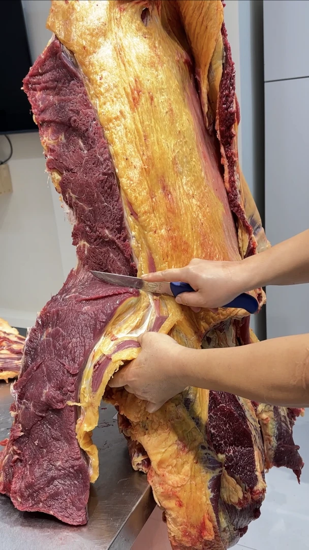 【牛上脑】呼伦贝尔草饲天然牛（炒，烤，炖，涮，煎）