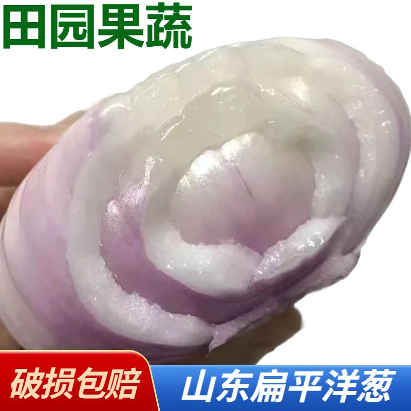 新鲜农家自种山东扁洋葱可生吃的扁平水果洋葱凉拌炒菜3/5斤装