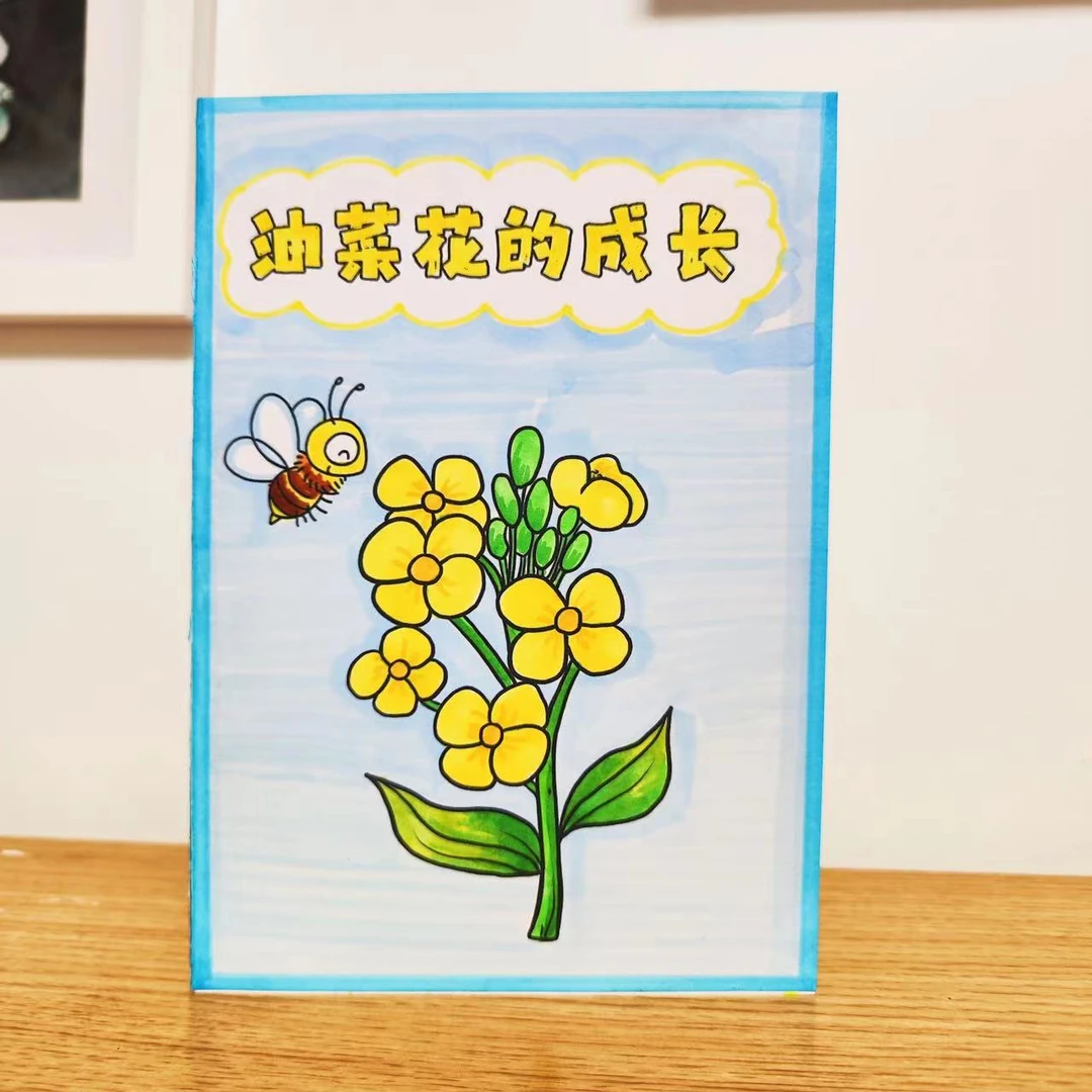 油菜花的成长记录绘本手工手绘活动素材儿童手工DIY涂色手帐立体