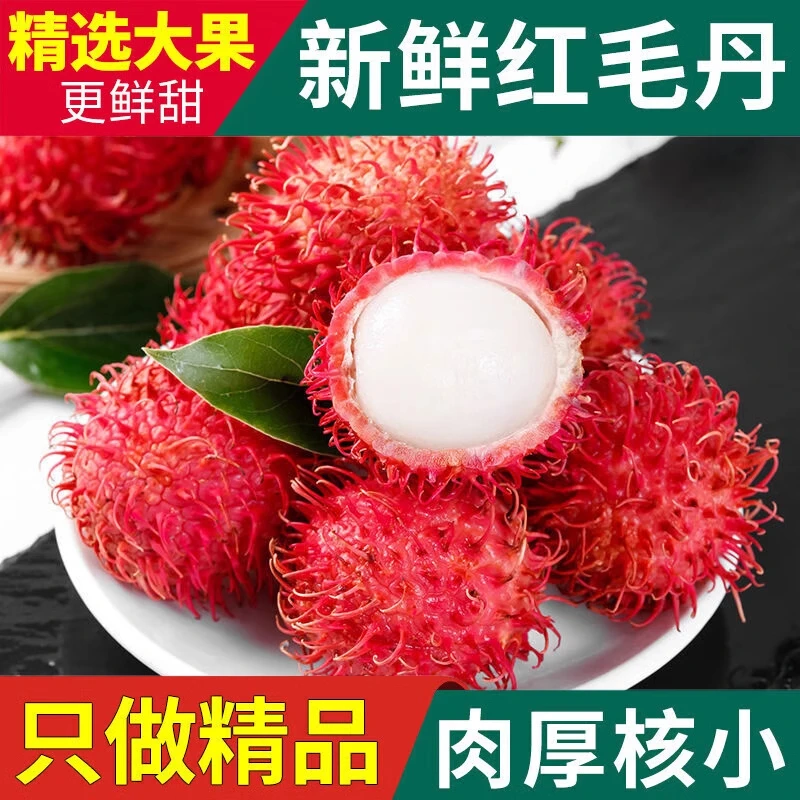 【京东顺丰包邮】泰国红毛丹水果新鲜毛荔枝新鲜当季热带水果带箱