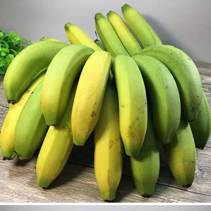 云南高山种植甜香蕉软糯香甜5斤8斤