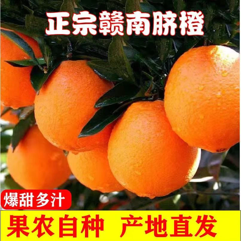 正宗江西赣南脐橙5斤10斤20斤新鲜现摘产地直发橙子
