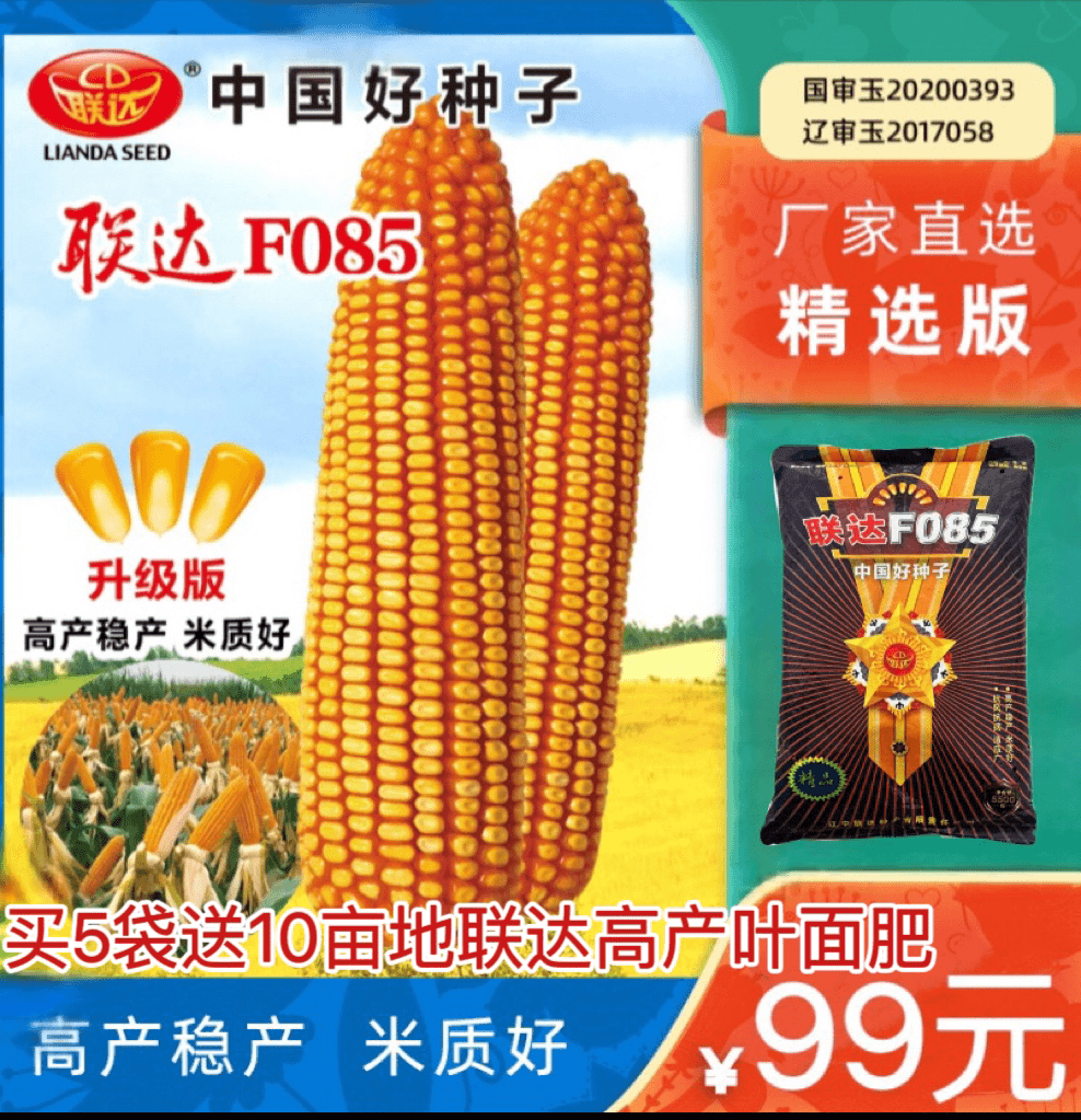 【厂家正品】联达F085国审高产玉米品种抗旱耐涝不挑地（5500粒）