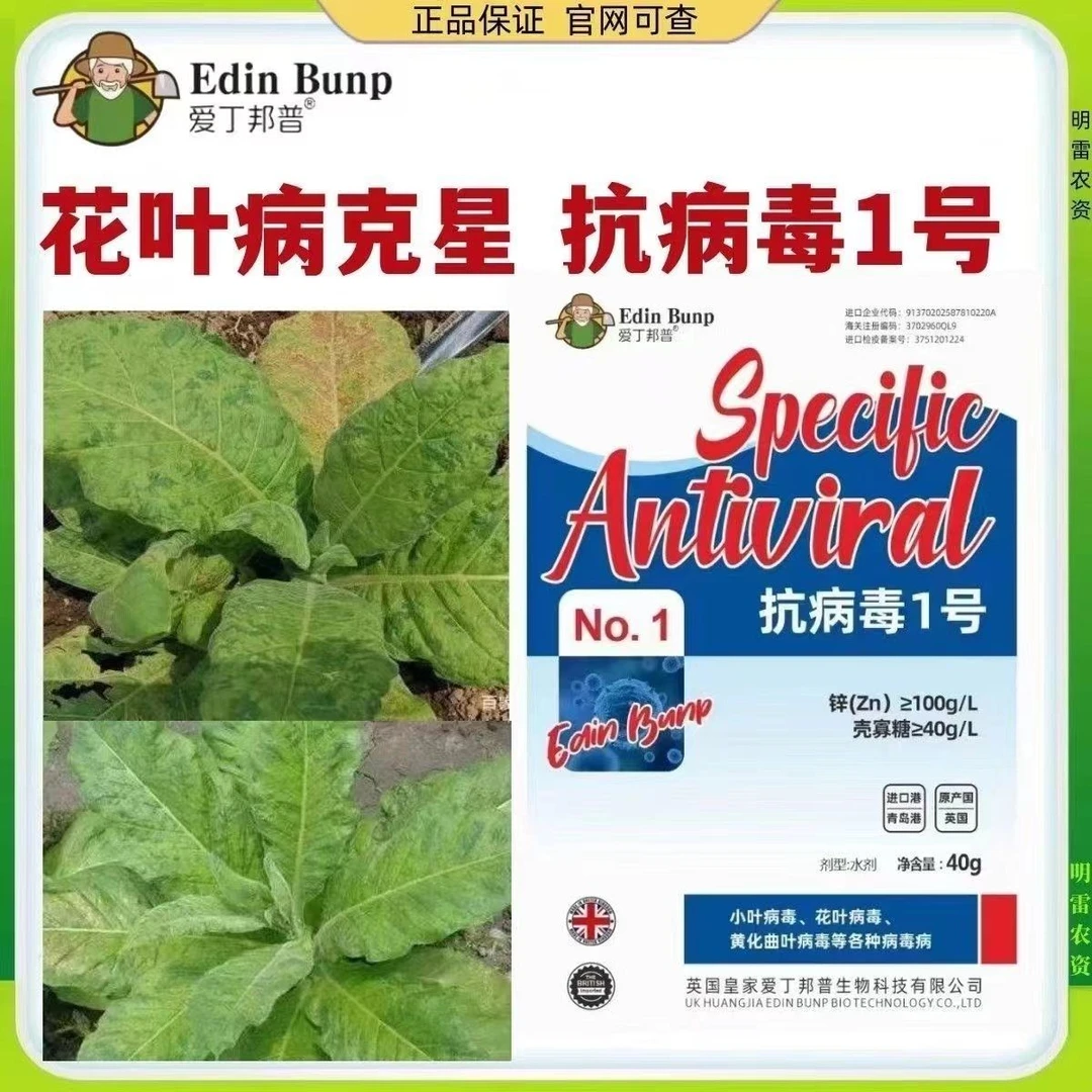 【花叶病克星】进口助剂烟叶花叶病斑点病专用爱丁邦普抗病毒一号