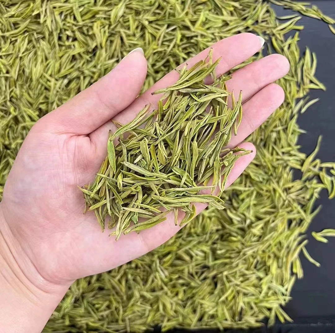 【小伟推荐】2024新茶上市明前奶香白茶