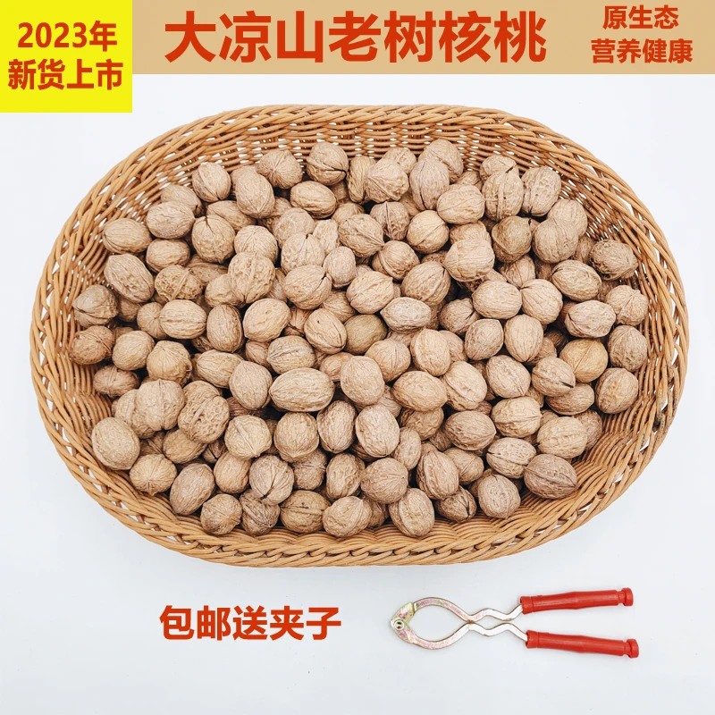 四川大凉山水洗核桃中小果