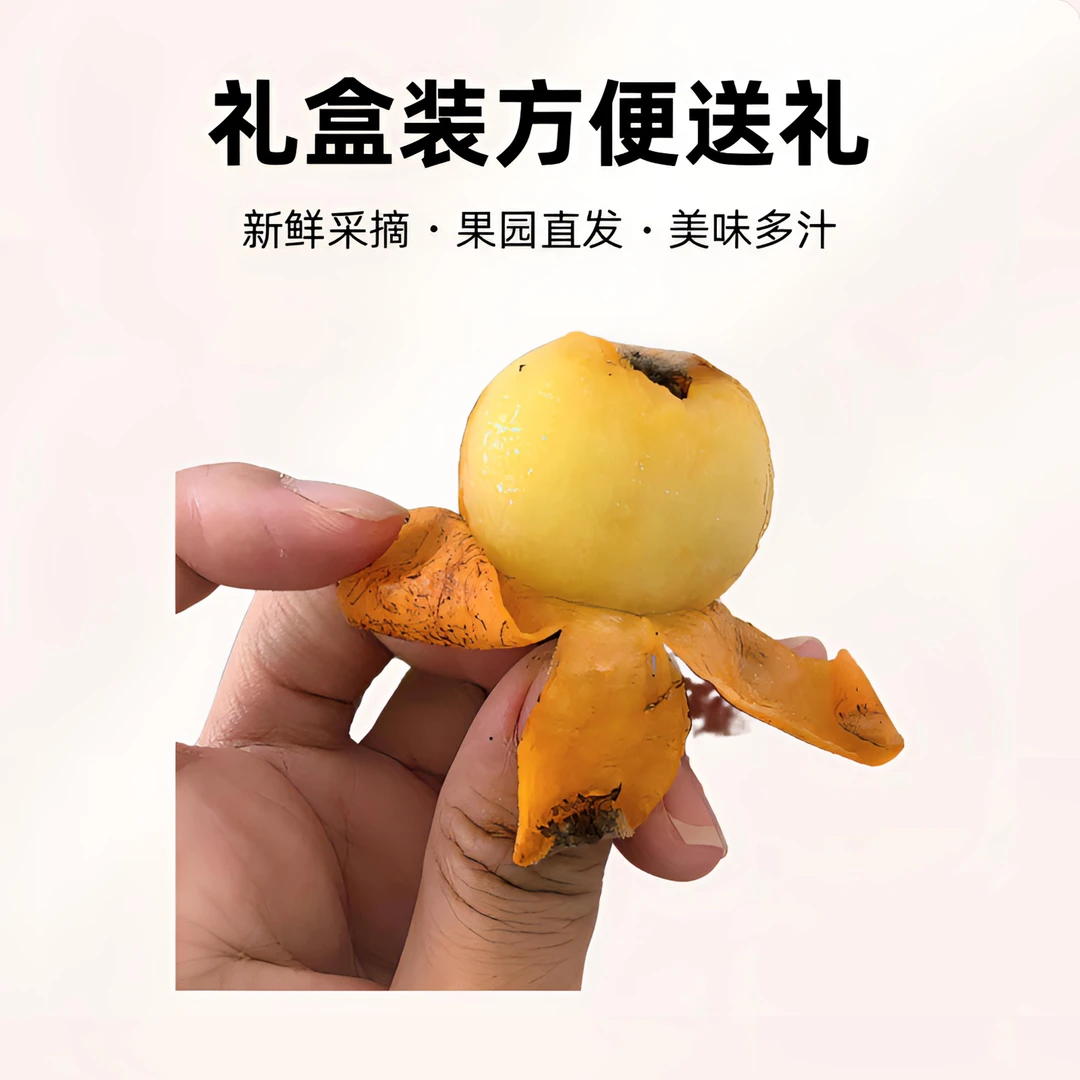 【特惠小果96颗】苏州东山超甜白玉枇杷3.5斤-4.0斤礼盒装顺丰