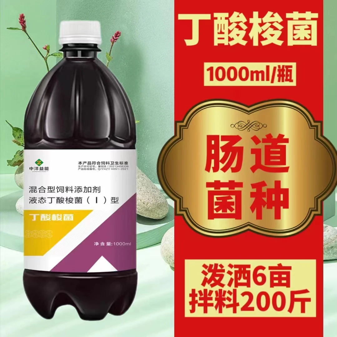 丁酸梭菌 诱食 上料 促生长,修复水产动物肠道粘膜,增强免疫力