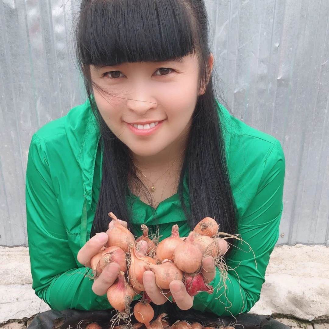 东北美琪 小笨毛葱（5斤）