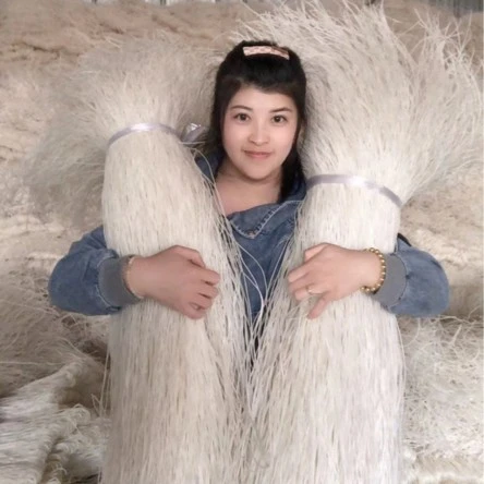 东北美琪  纯土豆粉条5斤