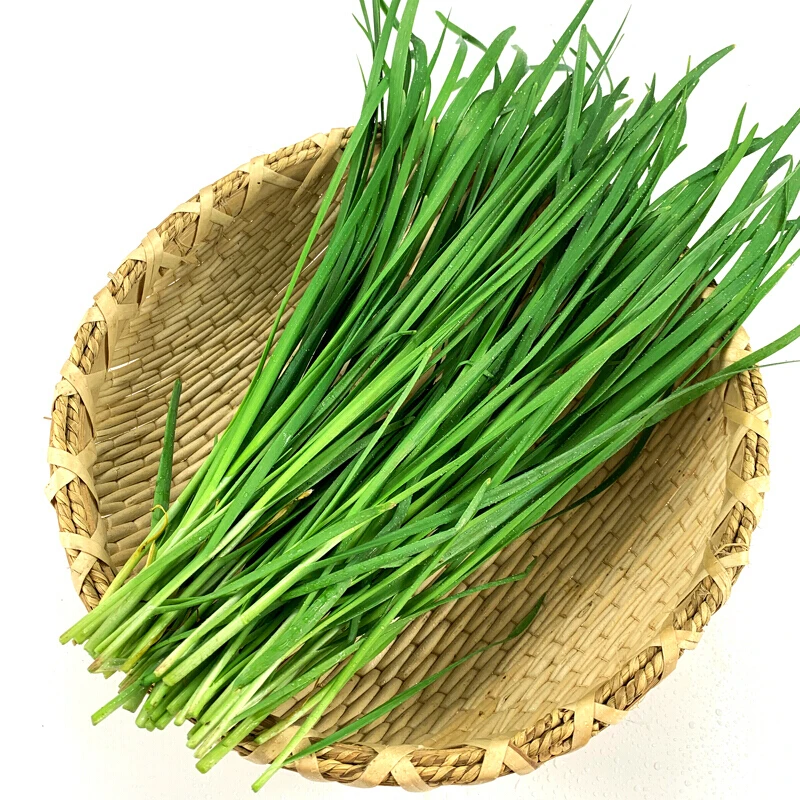 新鲜韭菜约200g