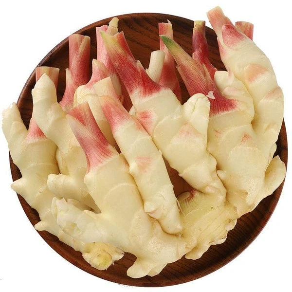 新鲜仔姜 嫩仔姜约500g