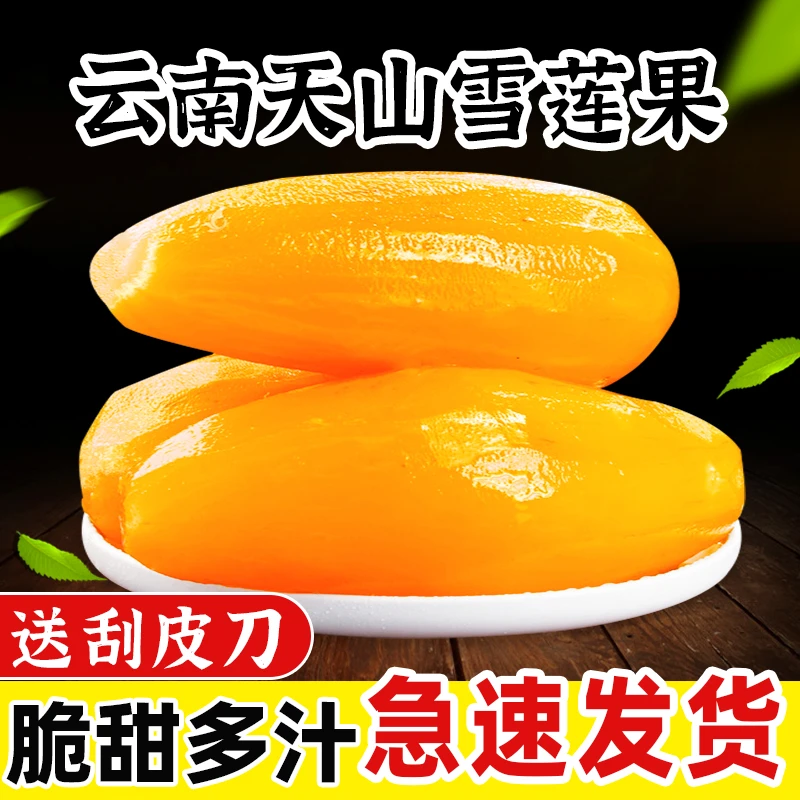 新鲜雪莲果云南天山雪莲果现挖应季当季红黄心水果云南特产雪莲果