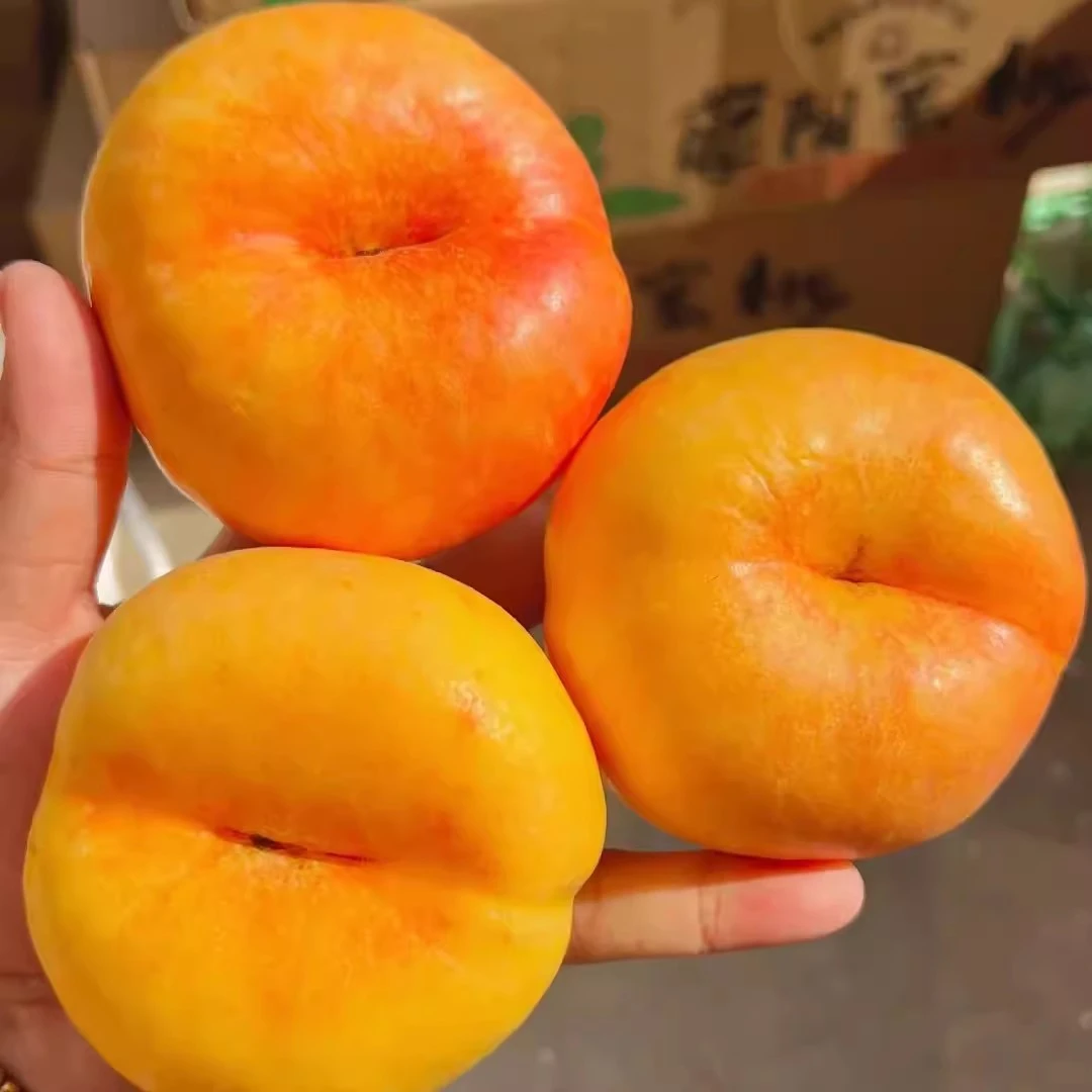 【特大果】黄金油蟠桃 1kg±80g/份（脆甜多汁）