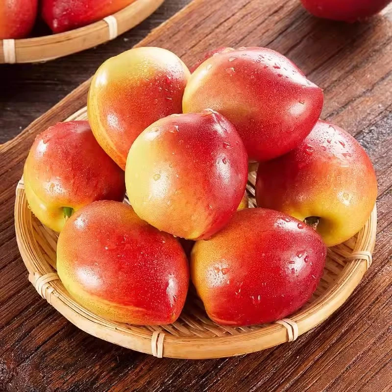 【精品】新鲜大油桃 900g±30g/盒（大果）