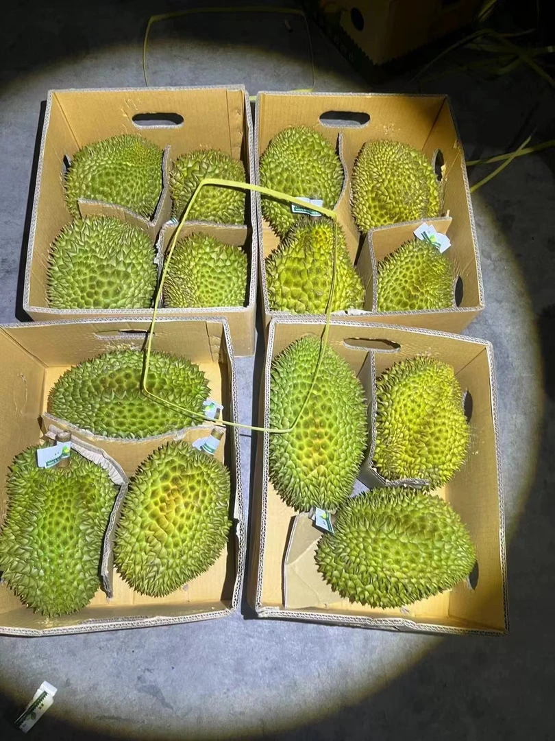 十一国庆 泰国树熟金枕到货啦