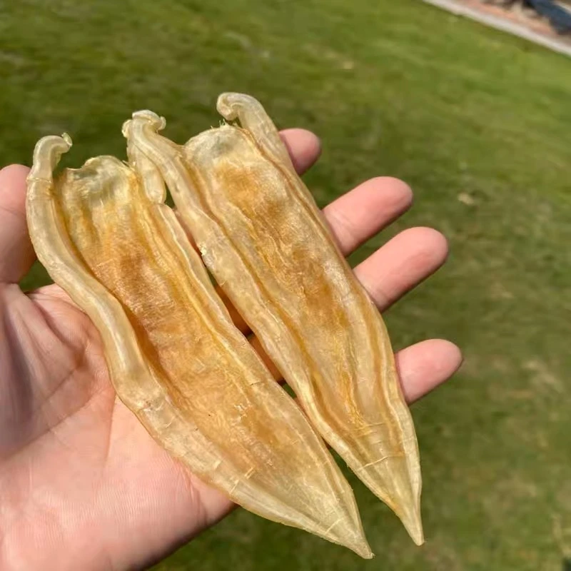 双背胶1-500g 老蜡 鱼胶 花胶 干货 鱼鳔  鱼泡 备孕胶