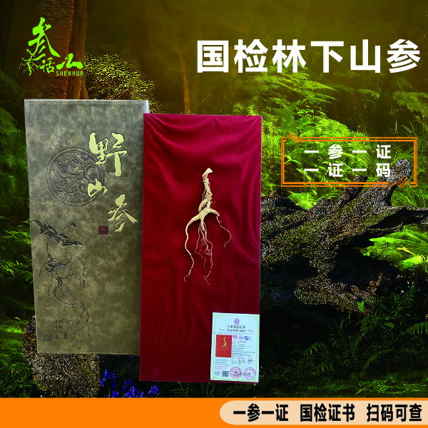长白山国检特等野山参（60cm）新证高端礼盒送人送礼人参礼盒