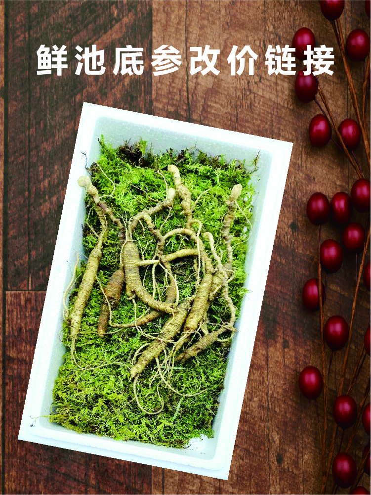 长白山高年份老池底鲜参直播间专用改价参片泡茶泡酒密封煲汤品质