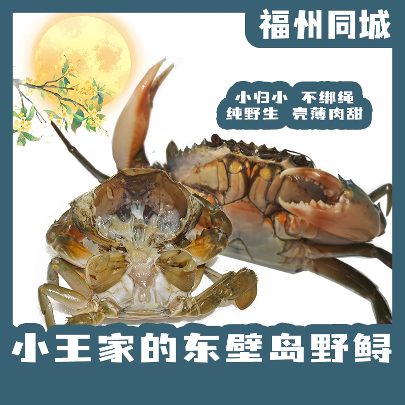 【国庆快乐】 东壁岛野生小菜鲟 纯野生 壳薄肉甜 肉纯甜媲美三门青 青蟹