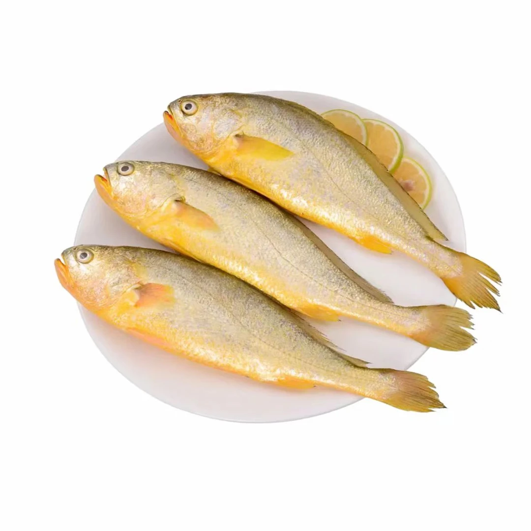 冰鲜黄瓜鱼 150g-250g/只