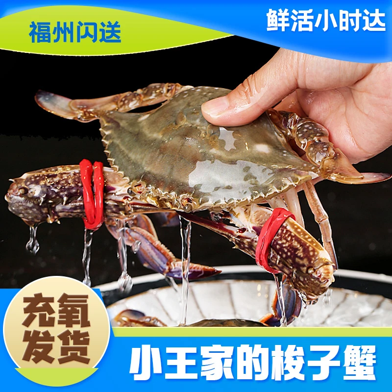 【直播间专享】连江正蟹 1斤500g