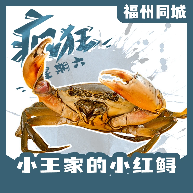 【疯狂星期六】小王家的小红鲟 红膏蟹 包肥包硬 保活到家 青蟹