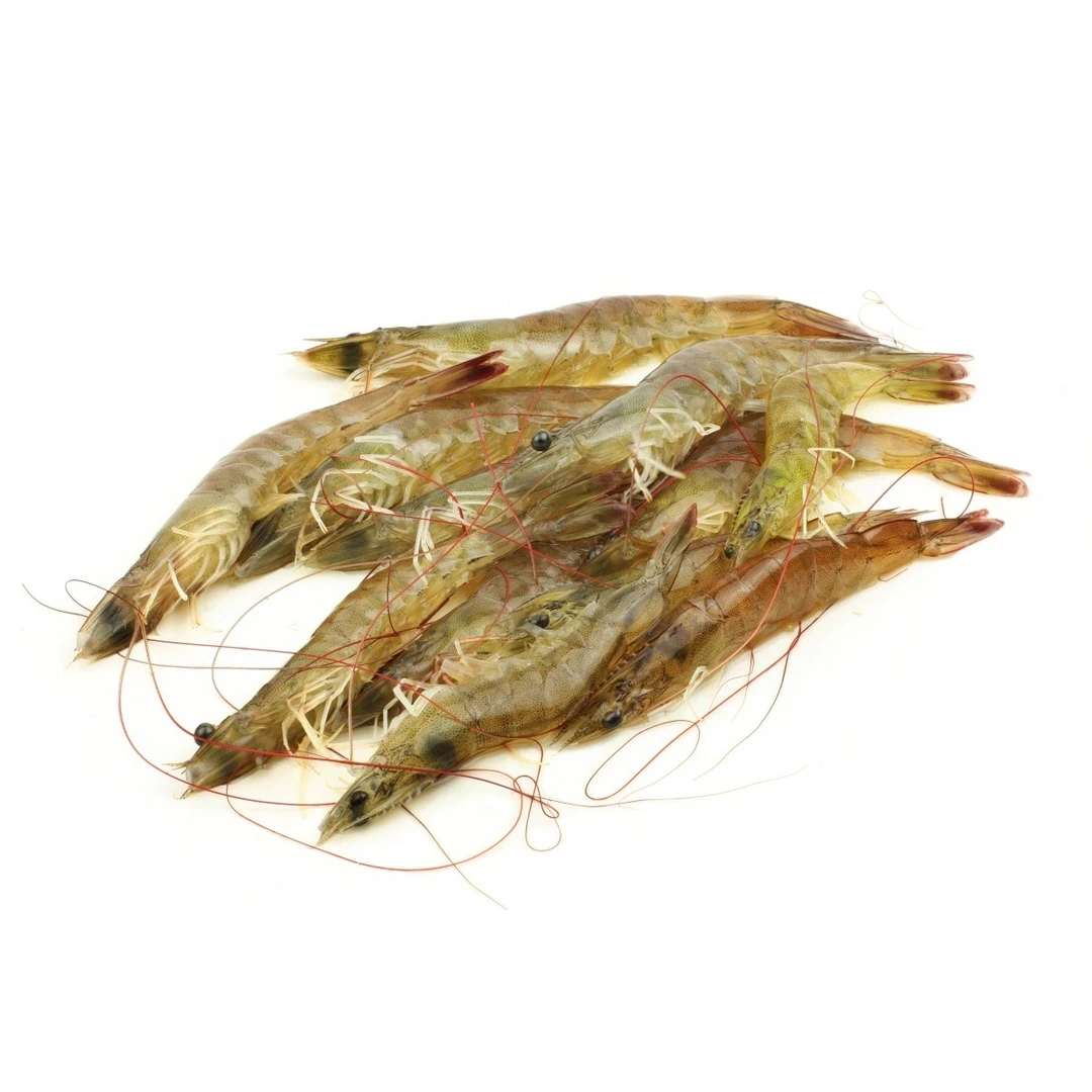 鲜活基围虾 500g