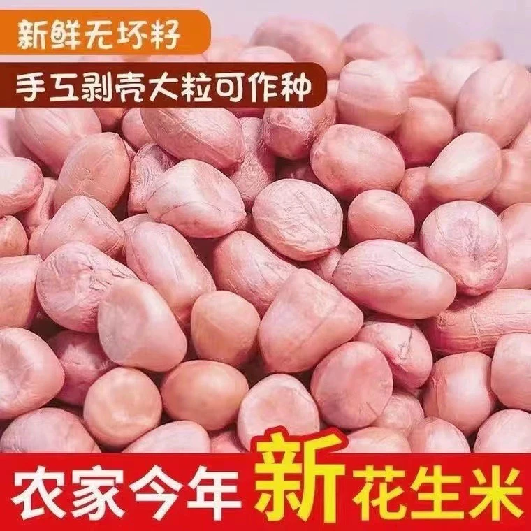 精品花生米新货大颗粒白沙花生米五斤三斤一斤装