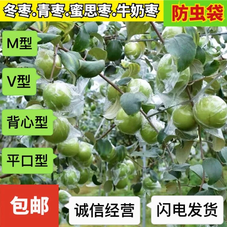 青枣袋 包大青枣防虫袋 树上青枣套袋 蜜思枣套袋 百香果防虫袋