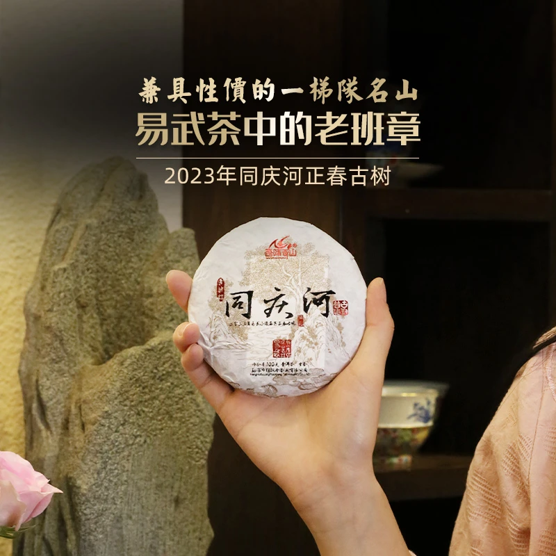 吾味奇山2023年易武同庆河正春片采古树茶 普洱茶古树生茶100g