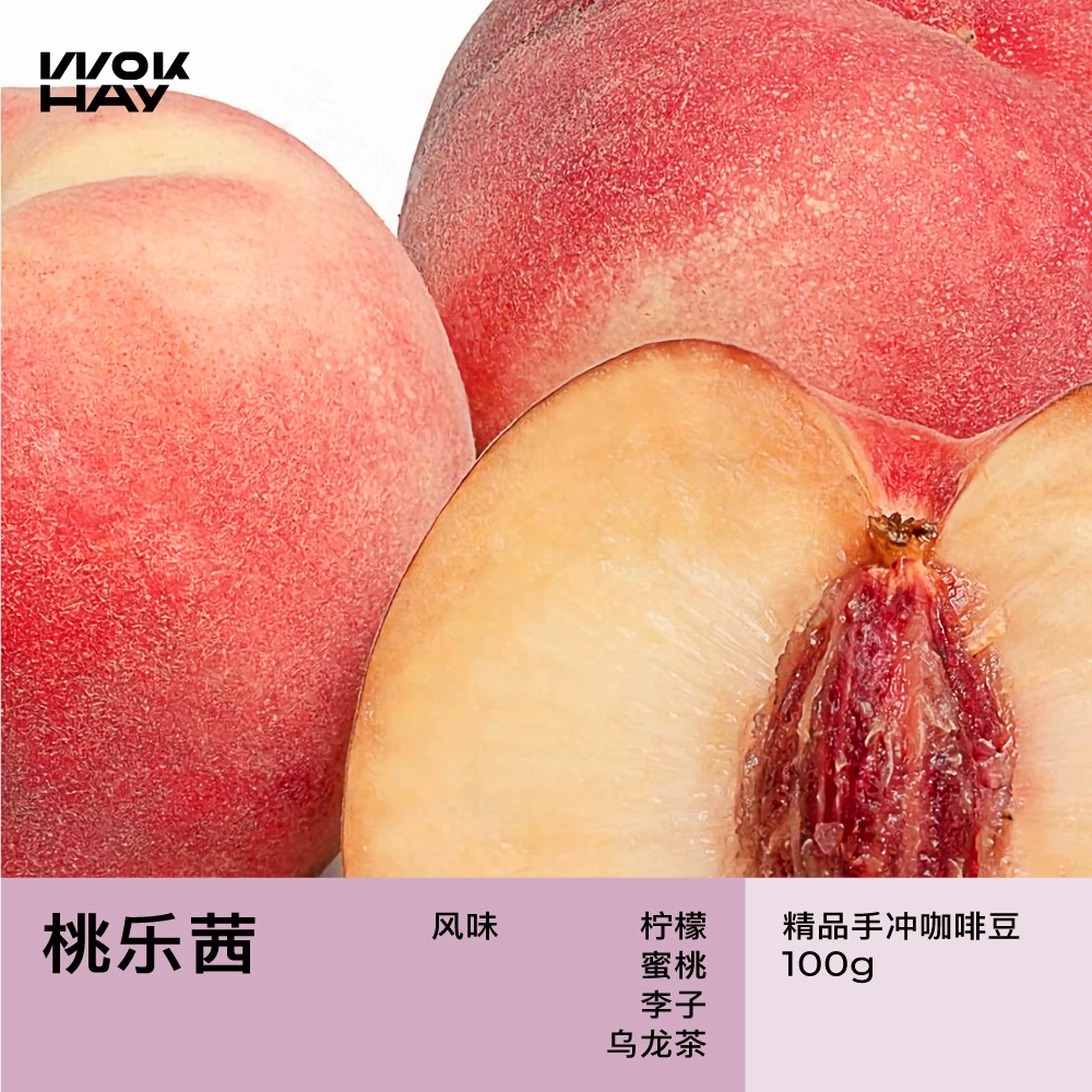 桃乐茜-埃塞安娜索拉酵素水洗-浅烘 手冲咖啡豆-锅气咖啡