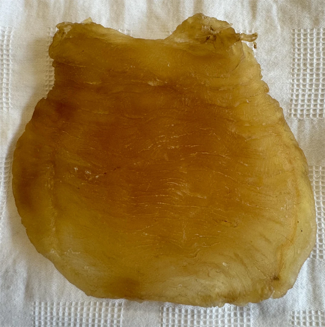 【裕琦鱼胶】 老红鸡赤嘴公胶,肉质细腻,老腊红肉1~500g