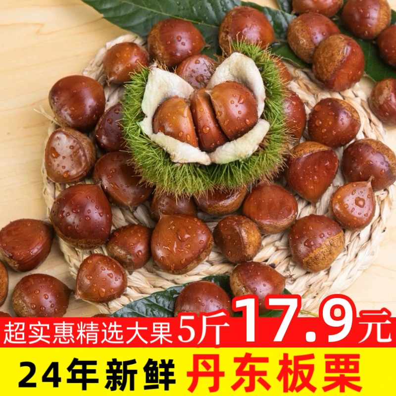 【五斤17.9元野生板栗】丹东生栗子带壳现采现发甜糯饱满