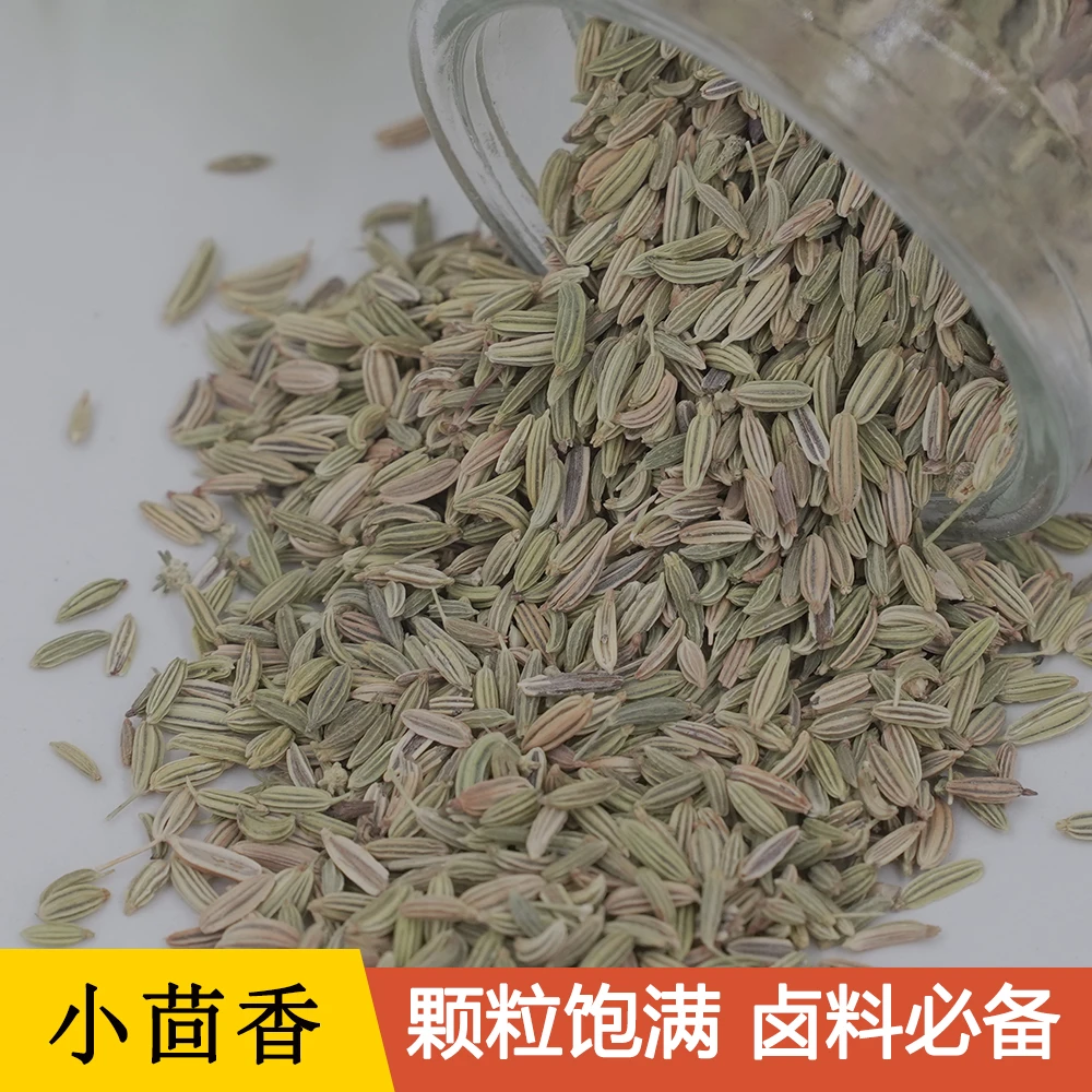 【小茴香】精选无硫去腥产地天然正宗浓郁新鲜颗粒100-1000克直供