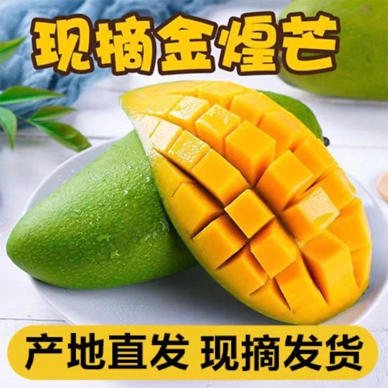 【放软食用】正宗广西百色青皮金煌芒果纯甜3-10斤高山老树大青芒果