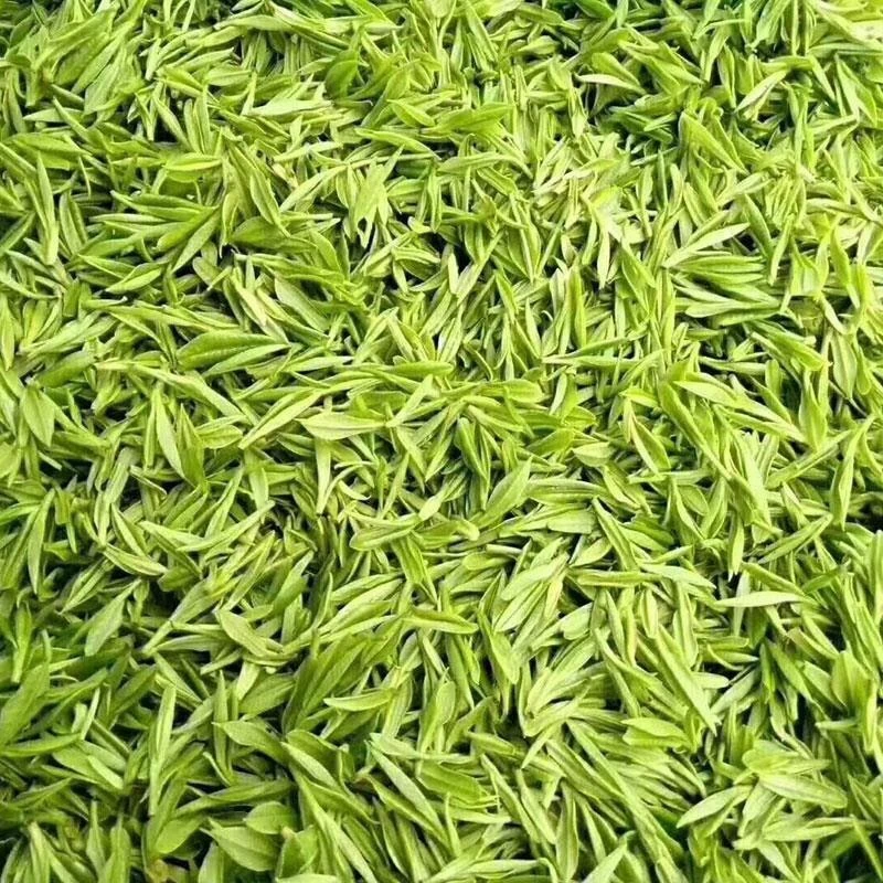正宗茶叶浙江白茶2023年新茶一级高山春茶浓香口粮茶明前散装