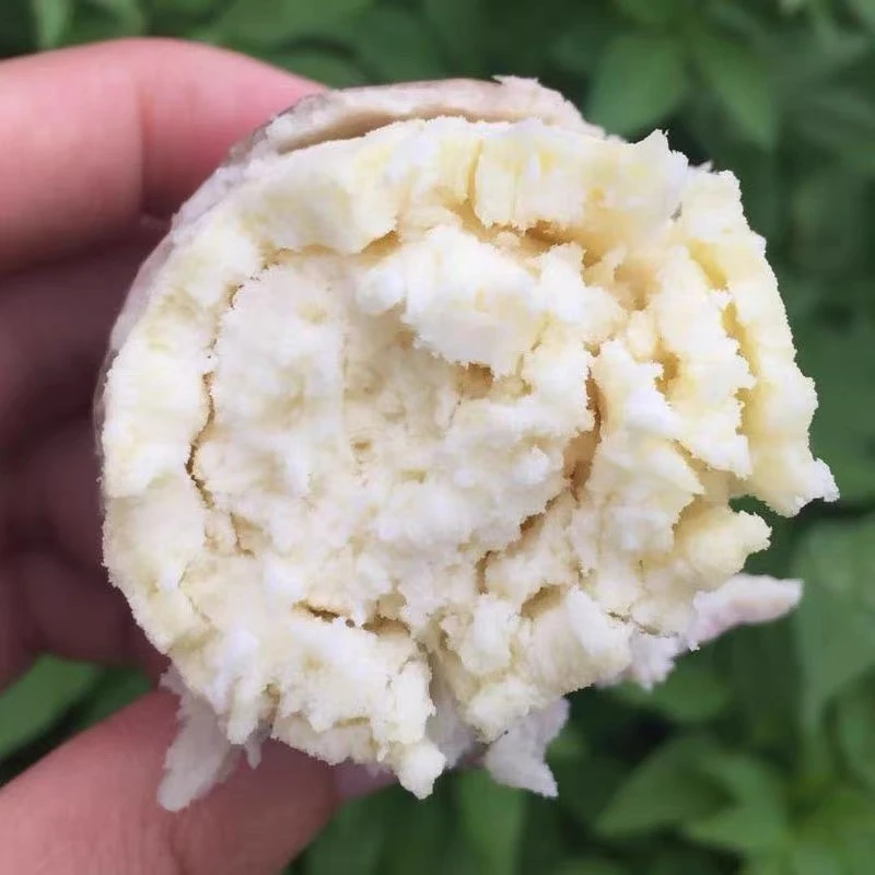 2024新鲜现挖现发粉糯香高州特产爆皮王番薯3斤/5斤/9斤包邮美味