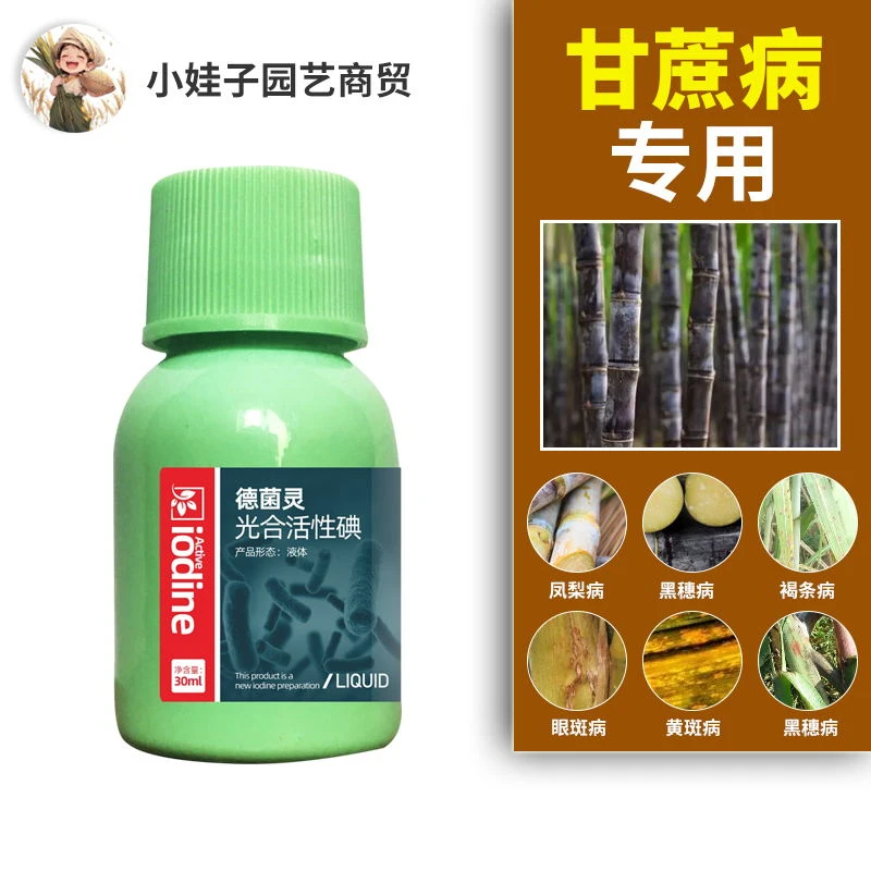 甘蔗病通用稍腐病专用药杀菌剂甘蔗锈病叶斑病黑穗赤腐病黄叶面肥