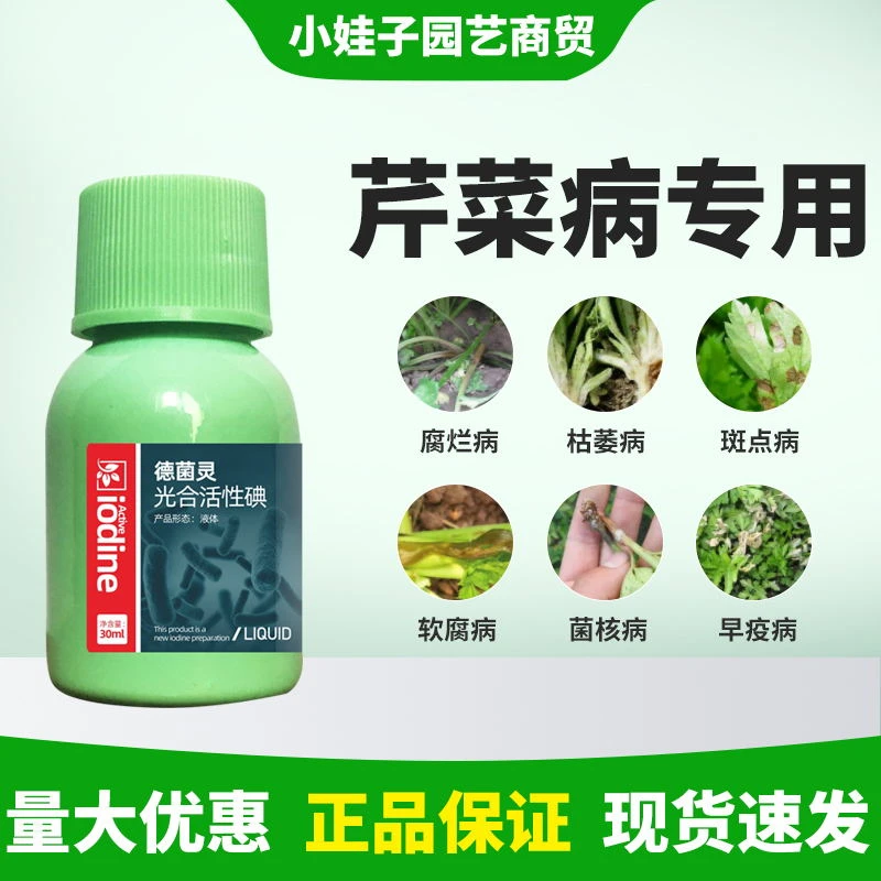 芹菜病通用腐烂病枯萎病斑点病软腐菌核病芹菜防病增产专叶面肥