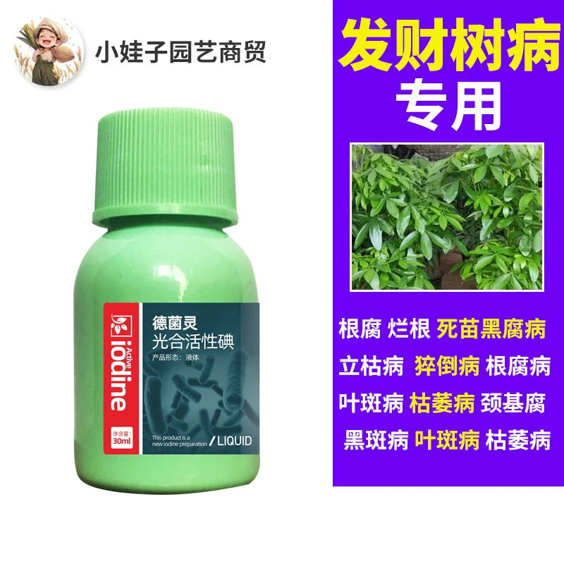 急救发财树病害专用黄叶烂根立枯病叶枯病根腐病黑斑白粉病叶面肥