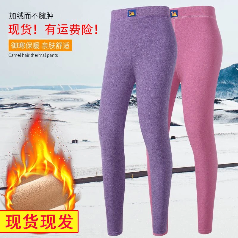 加绒加厚打底裤加肥大码保暖裤pmm秋冬羊羔绒秋冬高腰秋裤女