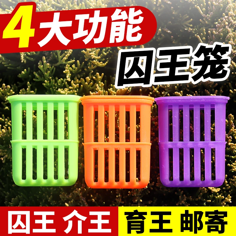 多功能中蜂囚王笼储存蜂王邮寄王笼可放王台育王储台器介王用王笼