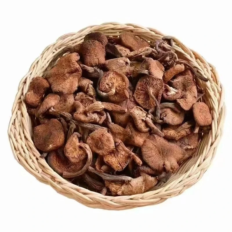东北大集天然榛蘑小鸡炖蘑菇特产