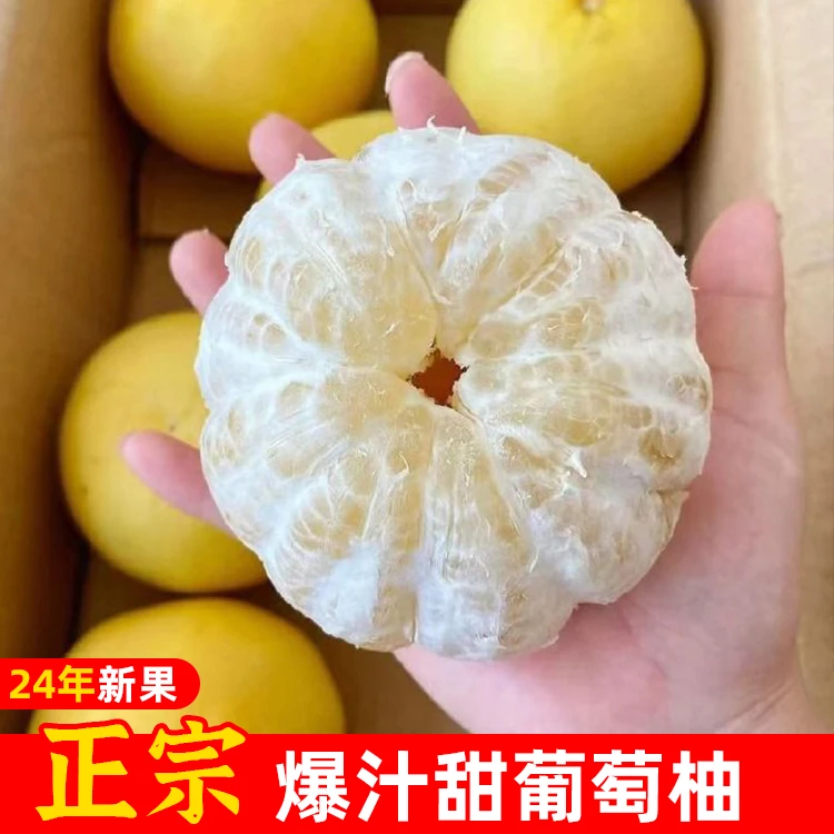 黄金葡萄柚广西当季新鲜水果孕妇黄心蜜柚爆汁3/5/9斤现摘现发