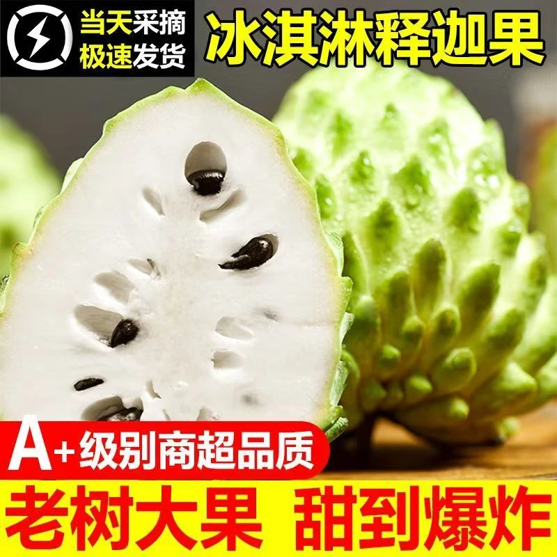 【大果福利】老树广西新鲜凤梨释迦果现摘现发番荔枝林檎5斤佛头3斤