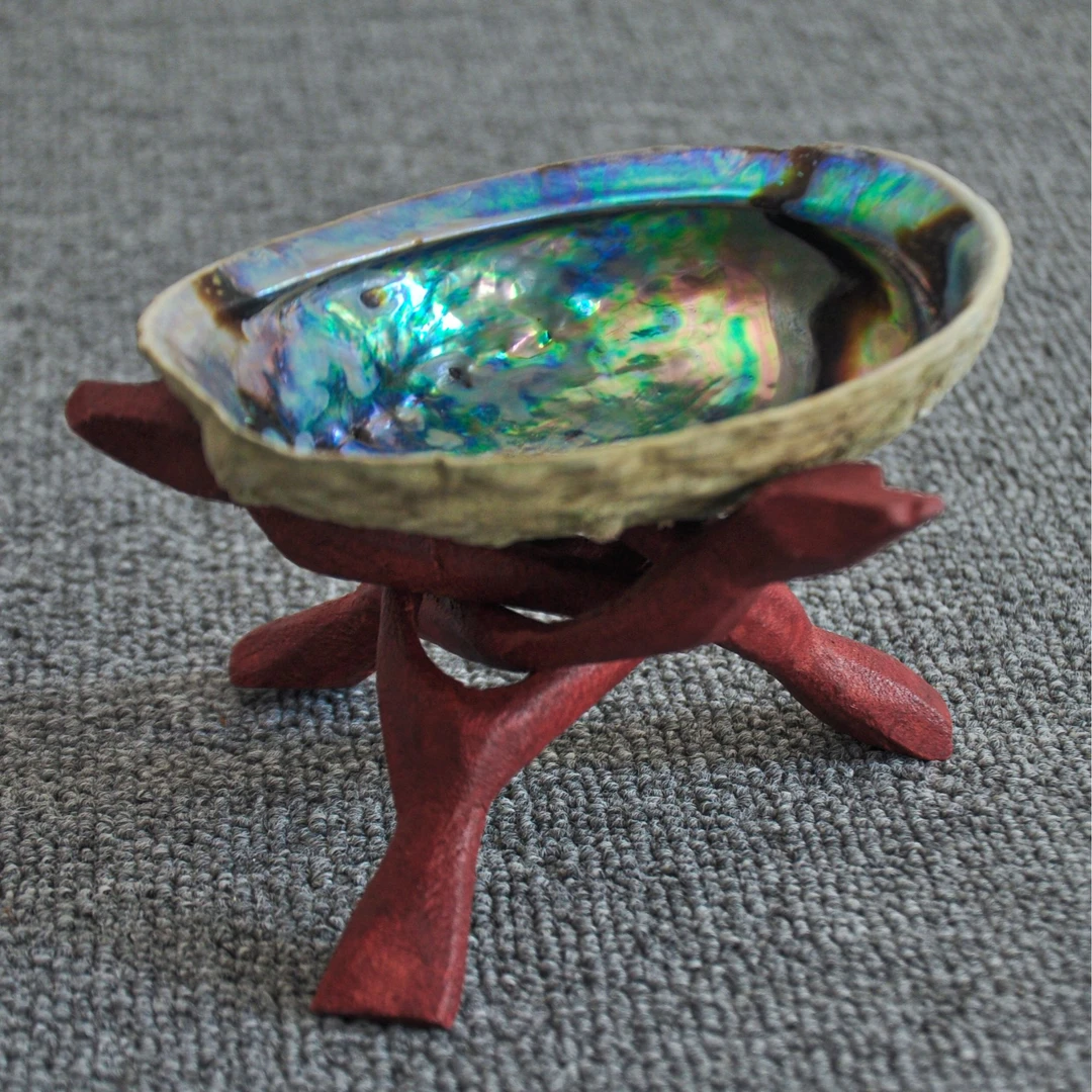 天然黑金鲍鱼原贝壳未打磨桌面摆件个性香薰鼠尾草托盘diy烟灰缸