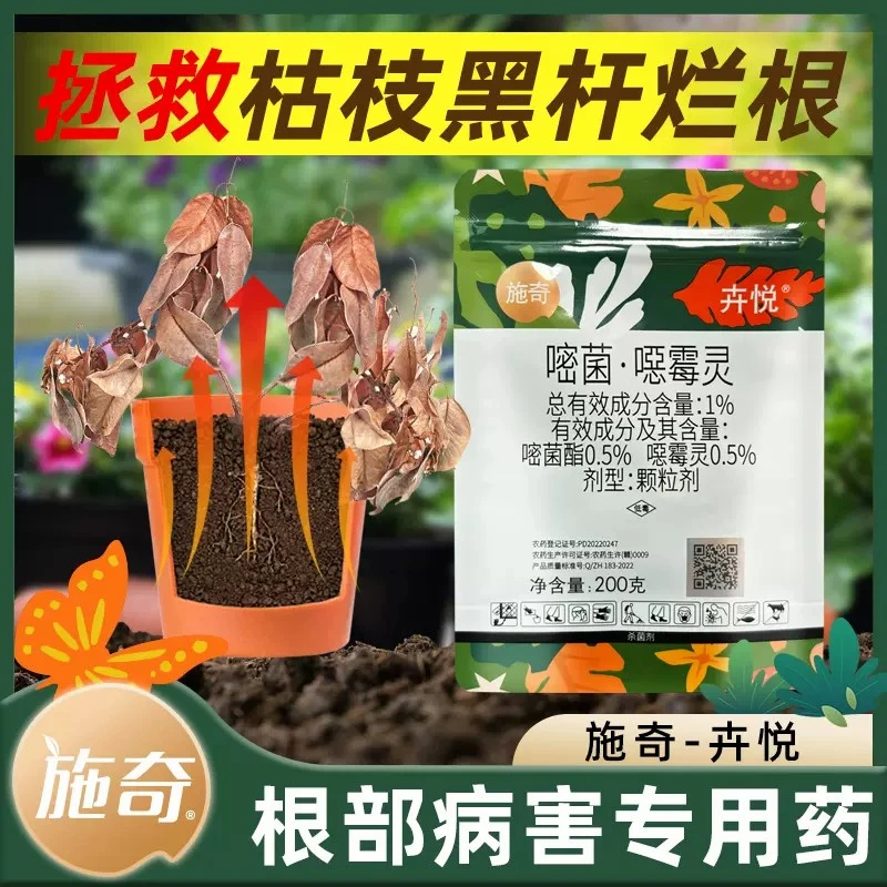 国光施奇卉悦嘧菌噁恶霉灵盆土壤杀菌剂立枯病专用药颗粒剂