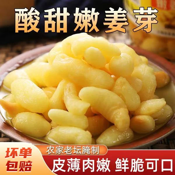 【泡姜芽到手5袋】脆甜可口 下酒下饭 老少皆宜